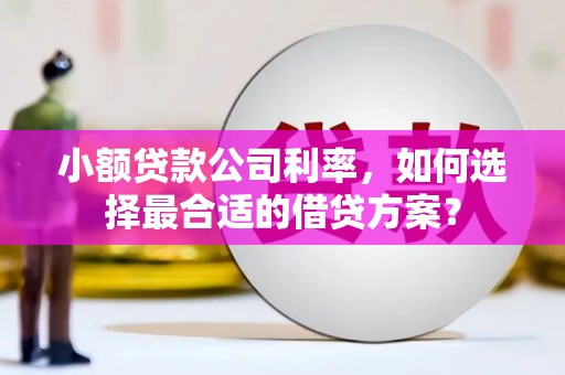 盐湖小额贷款公司利率，如何选择最合适的借贷方案？