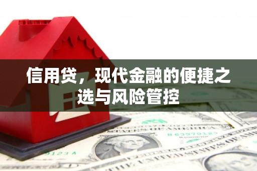 盐湖信用贷，现代金融的便捷之选与风险管控