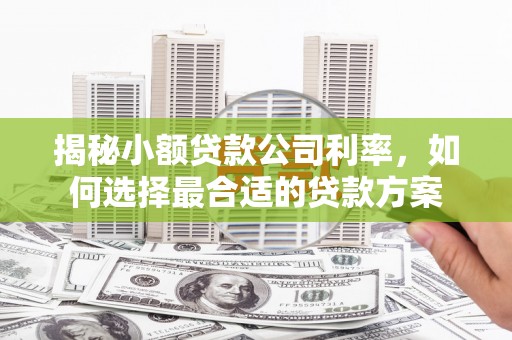 盐湖揭秘小额贷款公司利率，如何选择最合适的贷款方案