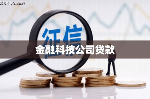 盐湖金融科技公司贷款