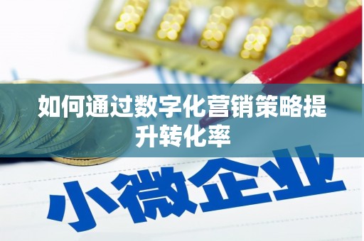 盐湖如何通过数字化营销策略提升转化率