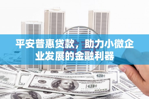 盐湖平安普惠贷款，助力小微企业发展的金融利器