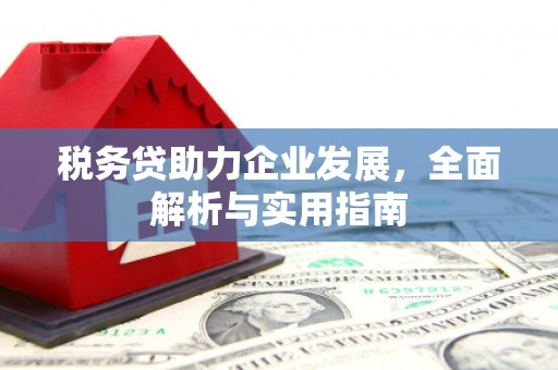 盐湖税务贷助力企业发展，全面解析与实用指南
