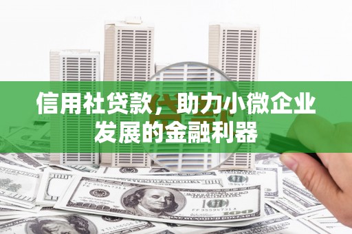 盐湖信用社贷款，助力小微企业发展的金融利器