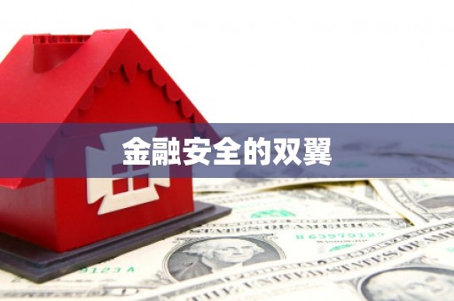 盐湖金融安全的双翼