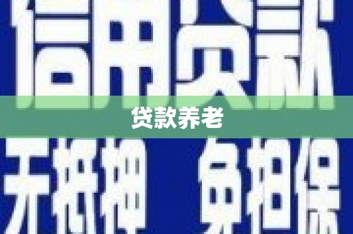 盐湖贷款养老