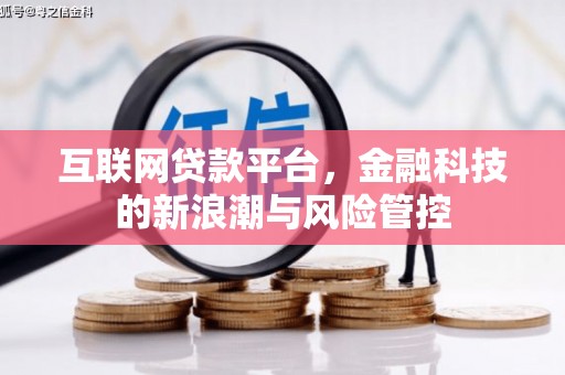 盐湖互联网贷款平台，金融科技的新浪潮与风险管控