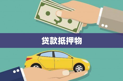盐湖贷款抵押物