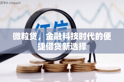 盐湖微粒贷，金融科技时代的便捷借贷新选择