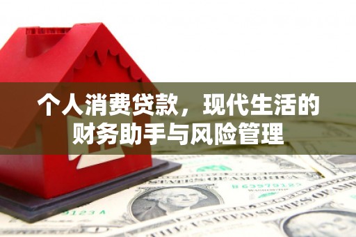 盐湖个人消费贷款，现代生活的财务助手与风险管理