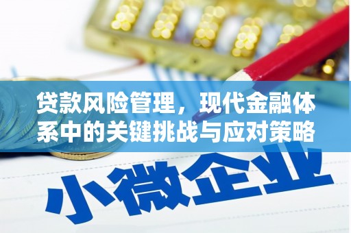 盐湖贷款风险管理，现代金融体系中的关键挑战与应对策略