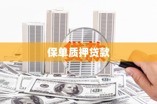 盐湖保单质押贷款
