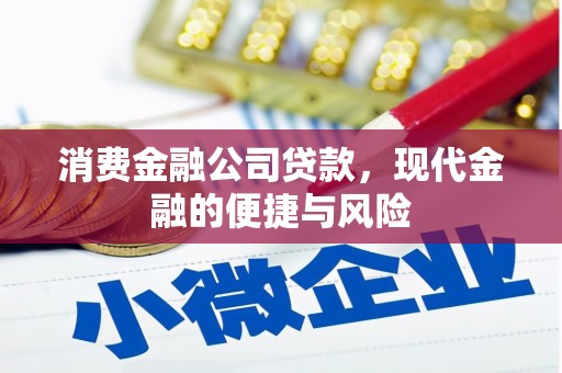 盐湖消费金融公司贷款，现代金融的便捷与风险