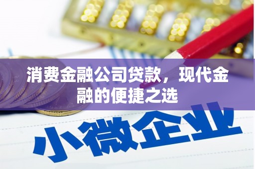 盐湖消费金融公司贷款，现代金融的便捷之选