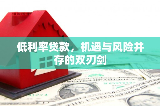 盐湖低利率贷款，机遇与风险并存的双刃剑