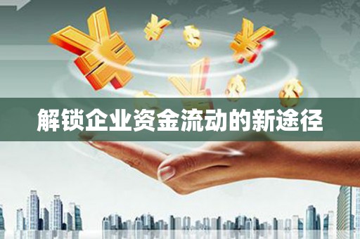 盐湖解锁企业资金流动的新途径