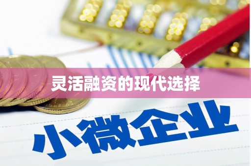 盐湖灵活融资的现代选择