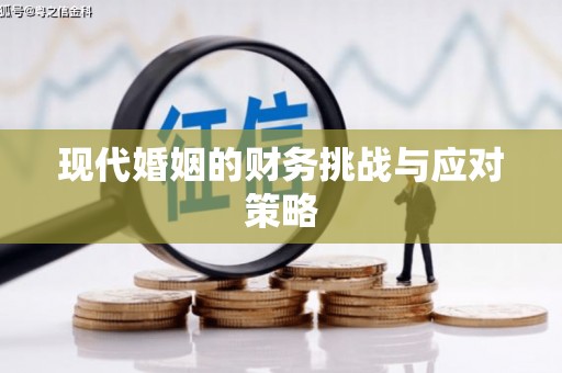 盐湖现代婚姻的财务挑战与应对策略