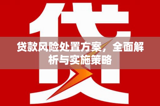 盐湖贷款风险处置方案，全面解析与实施策略