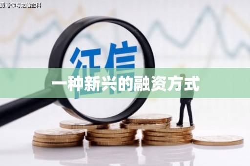 盐湖一种新兴的融资方式