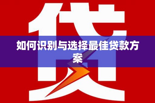 盐湖如何识别与选择最佳贷款方案