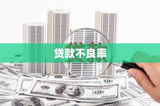 盐湖贷款不良率