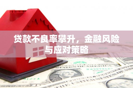 盐湖贷款不良率攀升，金融风险与应对策略