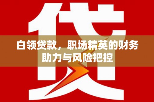 盐湖白领贷款,职场精英的财务助力与风险把控 盐湖白领贷款,职场精英的财务助力与风险把控