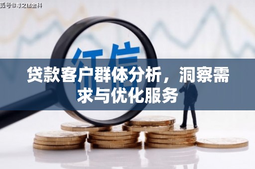 盐湖贷款客户群体分析，洞察需求与优化服务